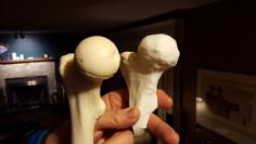 Alberta High School CTS – 3D Printed Bone Replacements 3D Printer Model