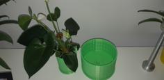 Airy Clone Planter 3D Printer Model