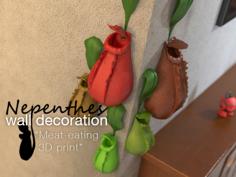 Nepenthes Wall Decoration 3D Printer Model