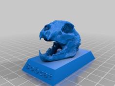 Bobcat Skull 3D Printer Model