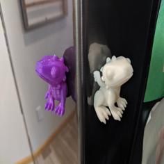 Fridgee – Cute Dragon 3D Printer Model