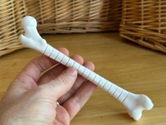 Fidget Femur 3D Printer Model