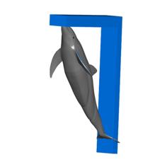 Dolphin Shelf Brackets (Nuclear Tape Mount) 3D Printer Model