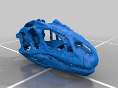 Allosaurus Skull (with Teeth) 3D Printer Model