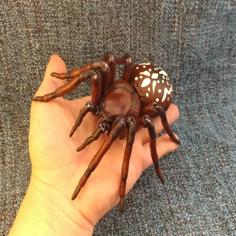 Spider (BJD) 3D Printer Model