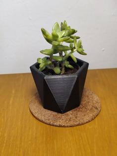 Hexagonal Succulent Planter #2 3D Printer Model