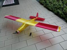 Muffin Full 3D Printed RC Airplane 3D Printer Model