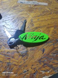 Kawasaki Ninja Keychain 3D Printer Model