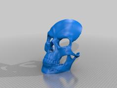 Evil Skull Mask (no Supports) 3D Printer Model