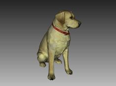 Labrador Sculpture (Dog Statue Color 3D Scan) 3D Printer Model