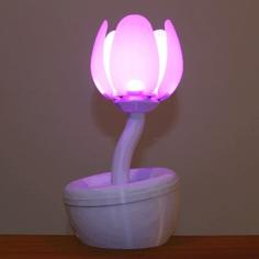 Blooming Flower Night Light 3D Printer Model