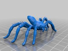 Burrow Spider 3D Printer Model