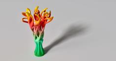 Flower Of Abstraction 3D Printer Model