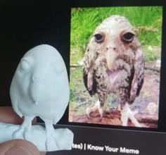 Wet Owl 3D Printer Model