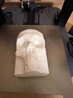 Pixel Skull 3D Printer Model