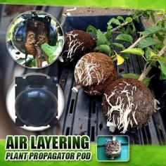 Reusable Plant Root Growing 3D Printer Model