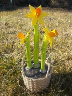 Daffodils In Basket 3D Printer Model