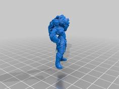 Illaoi 3D Printer Model