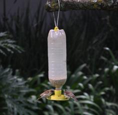 Bird Feeder (with Soda Bottle Thread) 3D Printer Model