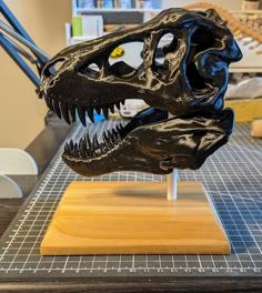 T-Rex Skull With Full Jawline 3D Printer Model