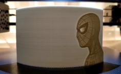 Spider-Man Litho 3D Printer Model