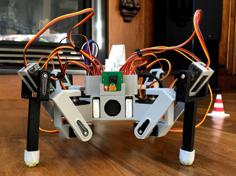 3D Printed Raspberry Pi Spider Robot Platform 3D Printer Model