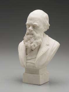 Bust Of Charles Darwin, C.1899 3D Printer Model