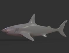 Shark 3D Printer Model