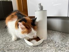 Mini Cat Feeder For Kibbles 3D Printer Model