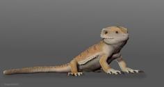 Bearded Dragon Figurine 3D Printer Model