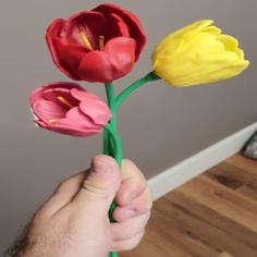 Tulip Flower 3D Printer Model