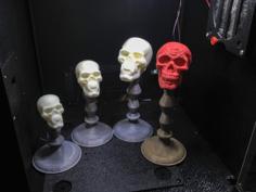 Trophies For The Site 3 Halloween Party Costume Contest 3D Printer Model