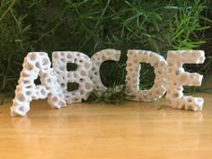 Lichen Letters 3D Printer Model