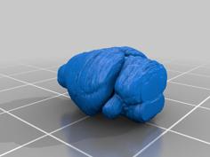 Mouse Brain 3D Printer Model