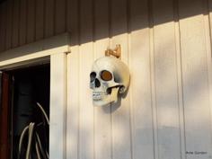 Bone Bracket For The Skull Bird House 3D Printer Model