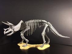 Triceratops Prorsus Skeleton 3D Printer Model