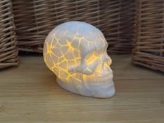 Cracked Skull 3D Printer Model