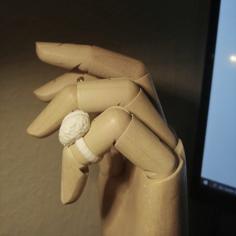 Customizable Brain Ring 3D Printer Model