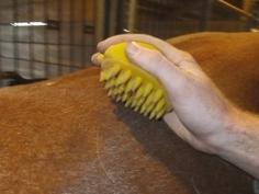 FuzNuz Horse Ergonomic Brushes 3D Printer Model