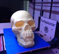 Skull With Pointed Teeth 3D Printer Model