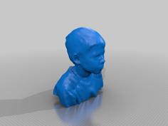 CharlieBucket 3D Printer Model