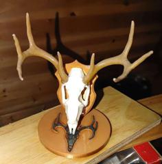 Deer Skull Pen Holder 3D Printer Model