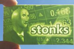 Stonks Business Card 3D Printer Model