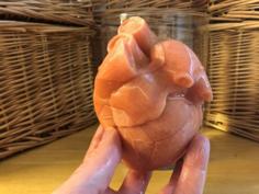 Anatomical Heart Puzzle 3D Printer Model