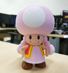 Toadette From Mario Games – Multi-color 3D Printer Model