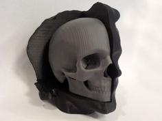 Head With Cut-Away Skull 3D Printer Model