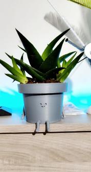 Happy Flower Pot 3D Printer Model