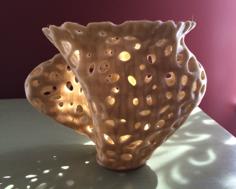 Voronoi Spline Twist Vase 3D Printer Model