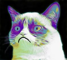 GRUMPY CAT 2D Meme 3D Printer Model