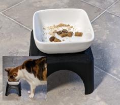 Pet Dish Pedestal 3D Printer Model